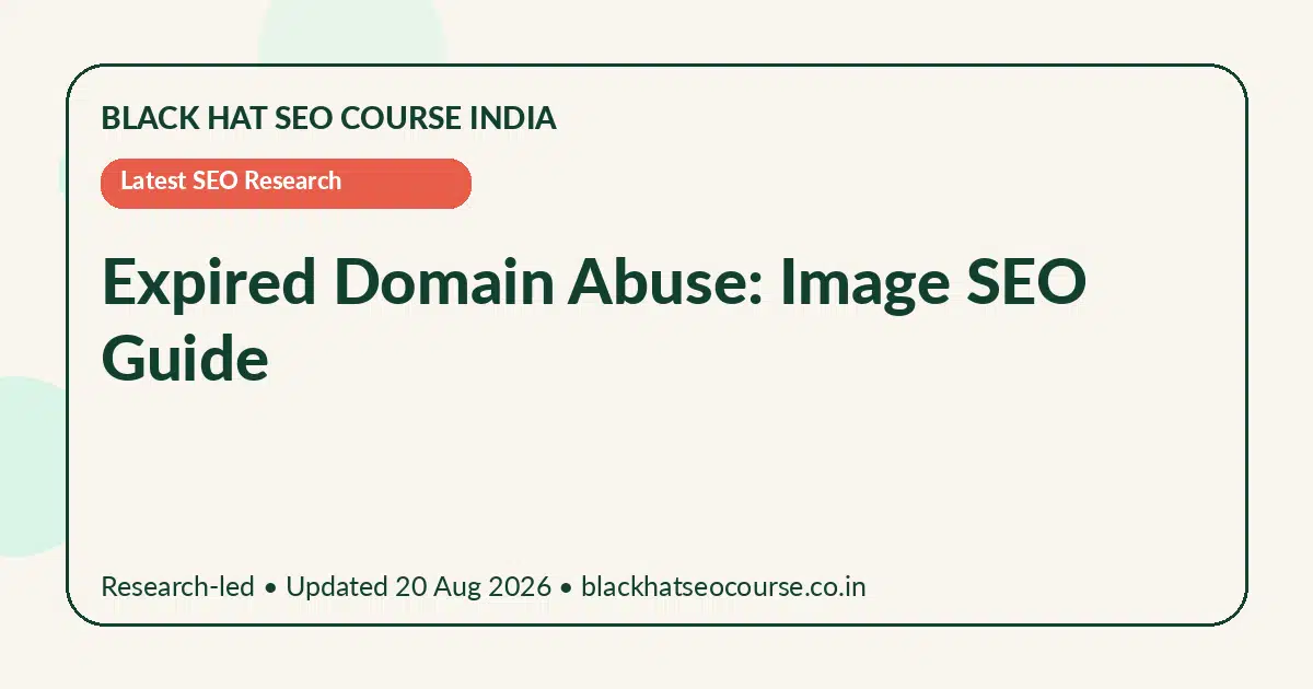 Expired Domain Abuse: Image SEO Guide Expired Domain Abuse: Image SEO Guide — Latest SEO Research visual guide