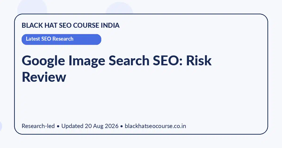Google Image Search SEO: Risk Review — Latest SEO Research visual guide