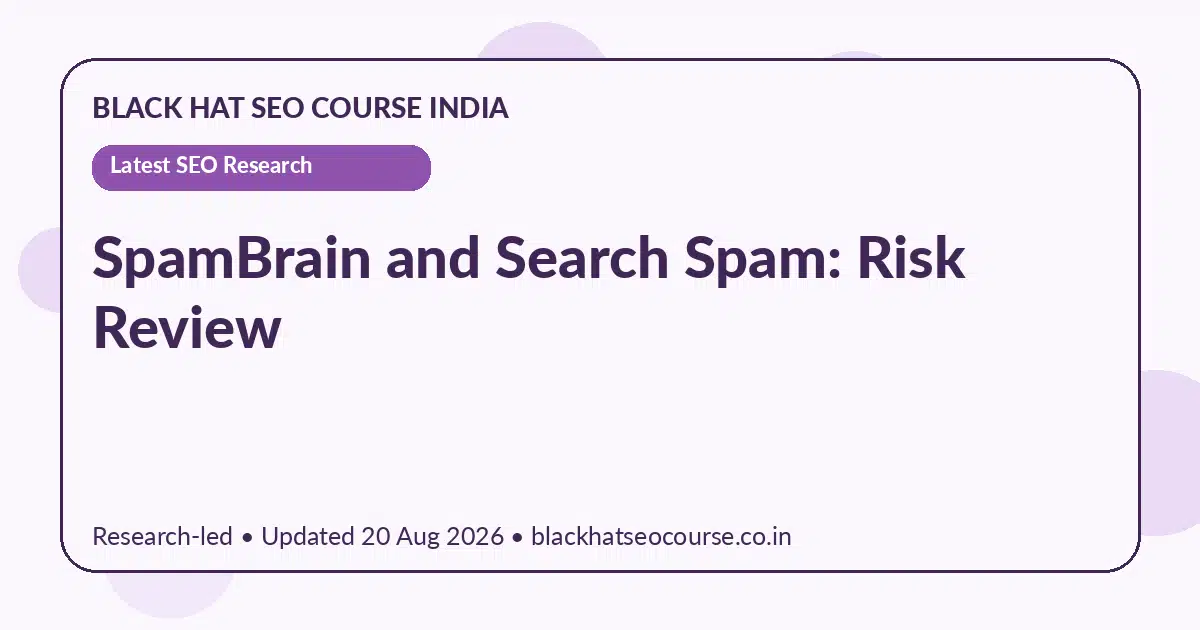 SpamBrain and Search Spam: Risk Review — Latest SEO Research visual guide